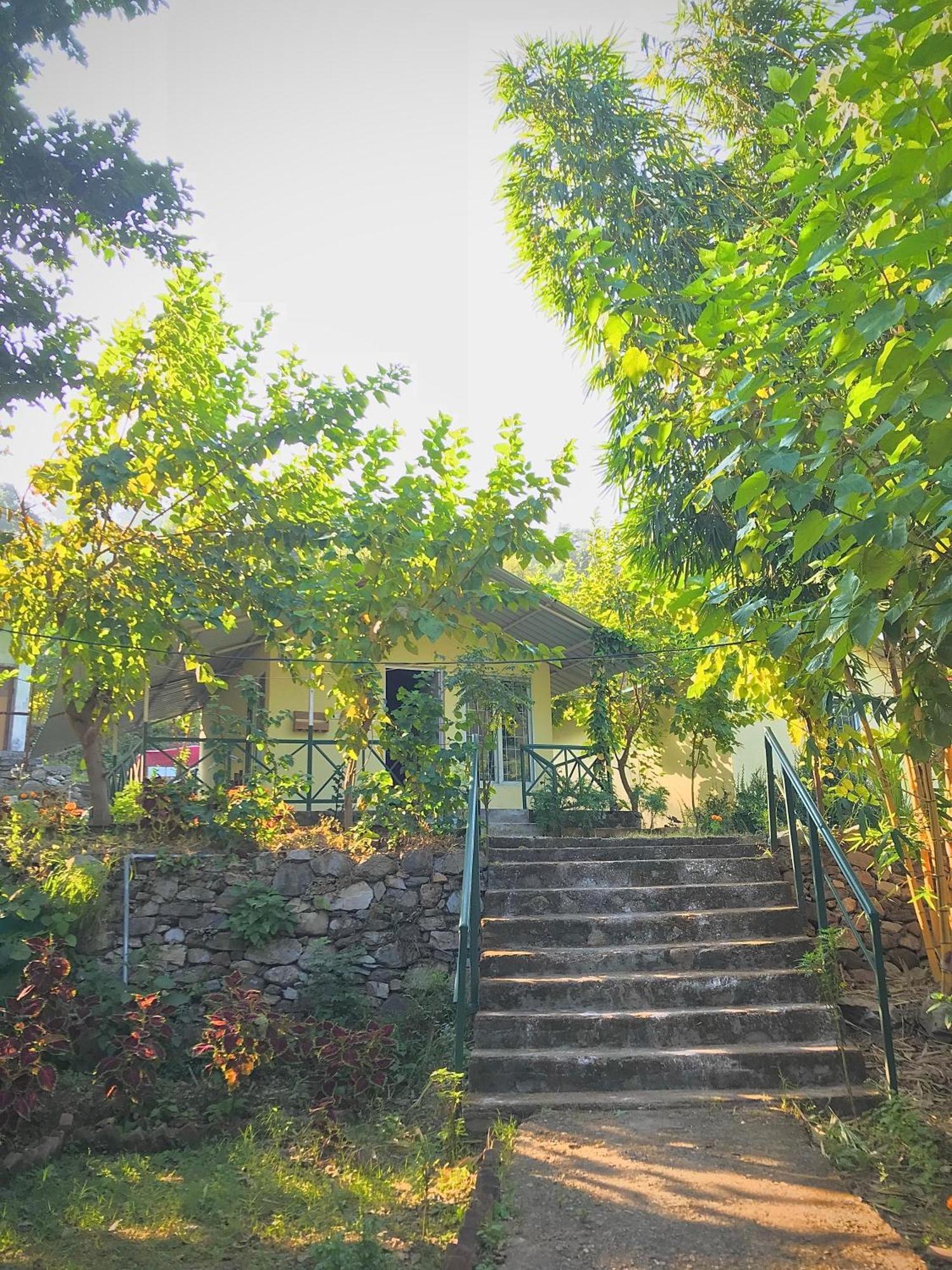 Shoolin Jungle Resort Rishīkesh 外观 照片